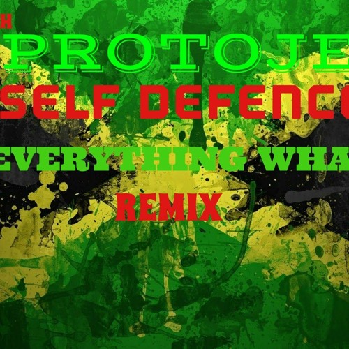 PROTOJE - SELF DEFENCE - (EVERYTHING WHAT) REMIX