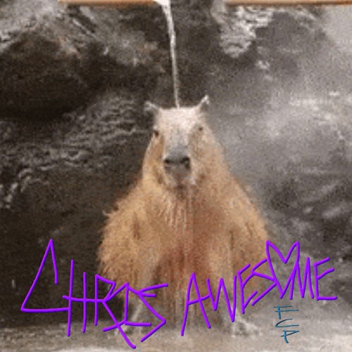 funny capybara pics
