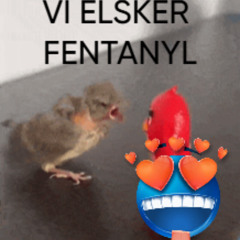 vi elsker fentanyl feat, greepreeson (prod 1rheve)