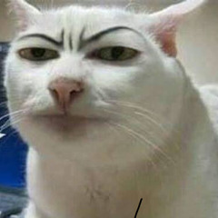 Đêm xuống tâm tư a là nhà giam ...