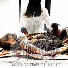 Inopexia – Gastric Explosions Tore a Gullet (Full EP 2009 Goregrind/Gorenoise)