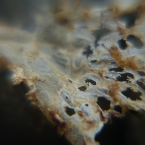 Echolocation (disquiet0718)