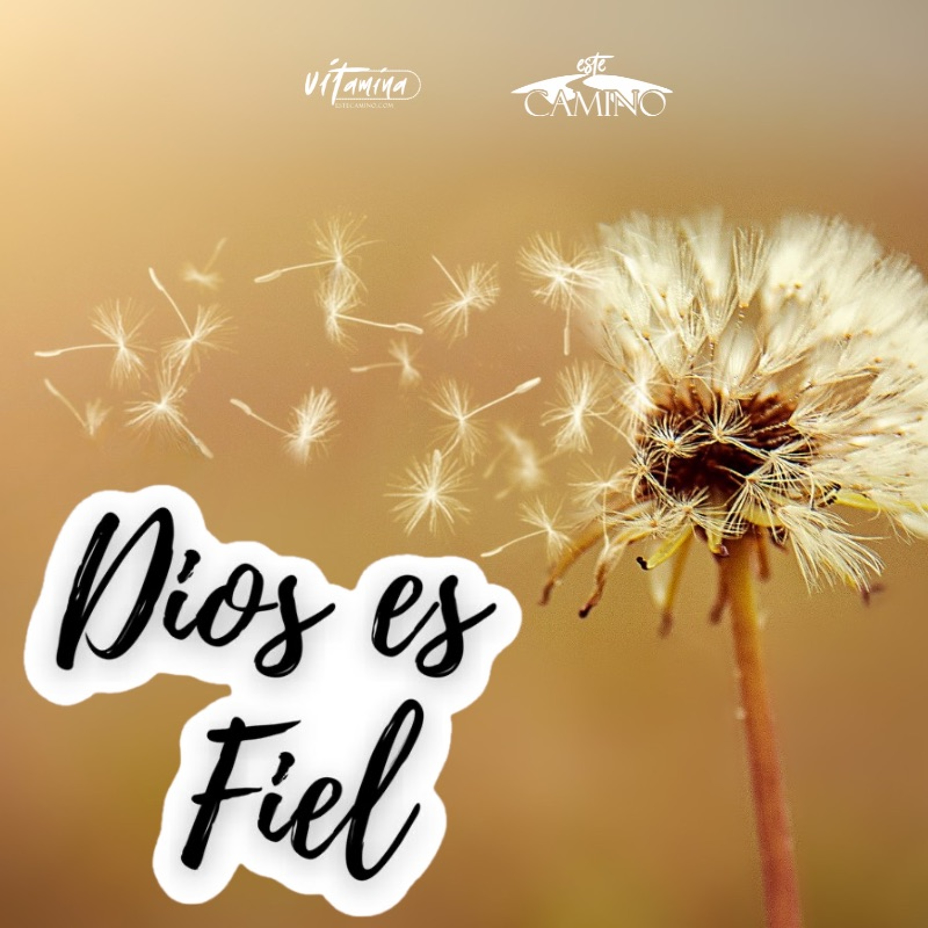 Dios es fiel, Carmen Gloria episode artwork
