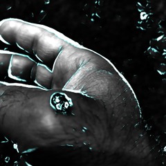 The Birds & the beast