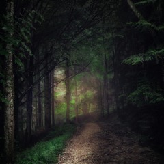 eyes on fire (lil sks x liminal sks)