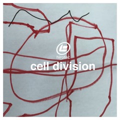cell division