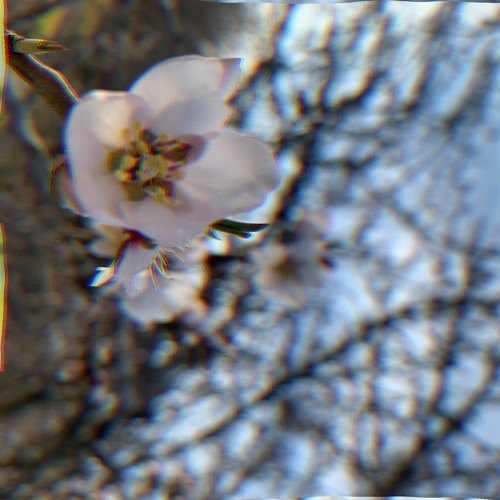 isolate