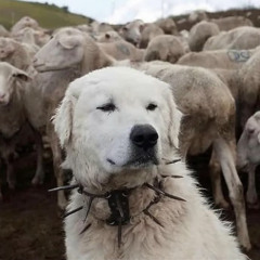 yxnggothsinner - today i dont love you like i loved you yesterday ft. ghosthomes (prod. rly beats)