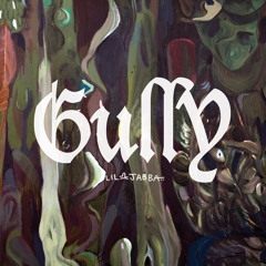 GuLLY.