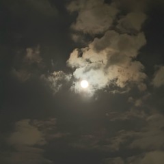 23 Feels Like October 2025