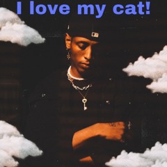 I love my cat!