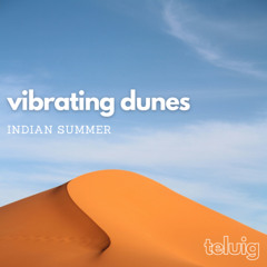 iNDiAN SUMMER - vibrating dunes