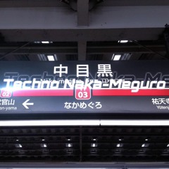 Techno Naka-Meguro(完成)