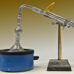 Libido Condenser (LC)