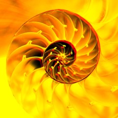 SPIRAL (pord. by pilotkid)