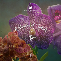 A Voyage of Spirits by súlfur ⚗ VOS 110