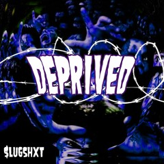 DEPRIVED (Prod.birkknut)