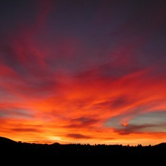 The River Is Wide - When I Survey - Gift Of Love