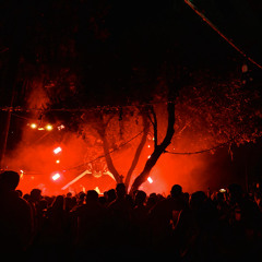 Cour T.  @ Mess Jungle Trip - Tel Aviv, Israel 2025