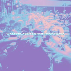 Fred Again - Leavemealone (Walschlager & Brainrack Remix)