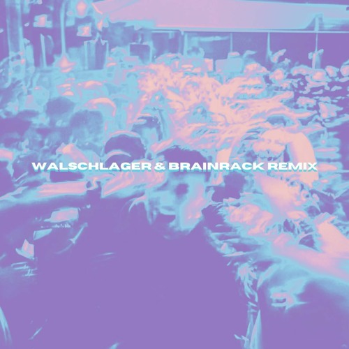 Fred Again - Leavemealone (Walschlager & Brainrack Remix)
