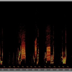 Common Nightingale (with Tascam X8)singing with Cuckoo looking for the nightingale's nest