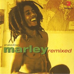 Bob Marley - Falling In And Out Of Love (Alex Natale Remix)