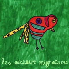 Les Oiseaux Migrateurs