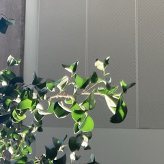 It was like… plant?