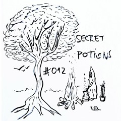 Secret Potions #012: ACUD - Katzenlied (Original Mix) [Playground Records] FREE DOWNLOAD