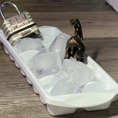 F*CK TRUDEAU / ice-tray deluxe [lets make it better](freestyle)