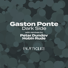 Dark Side (Petar Dundov Remix)