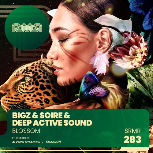 PREMIERE: BiGz, Soire, DAS - Blossom (Alvaro Hylander Remix) [Ready Mix Records]