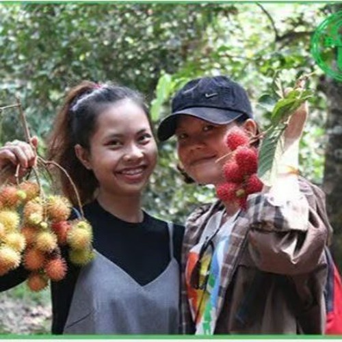 Stream Hoàn thiện câu “cái răng cái tóc là gốc con người” là cả một ...
