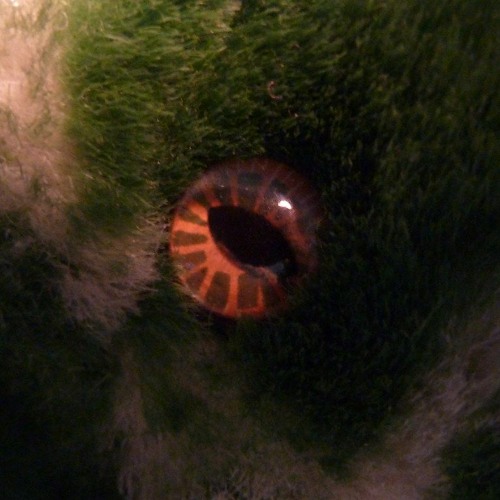 Rise Of The Serpent
