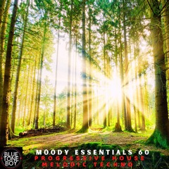Moody Essentials 60 ~ #ProgressiveHouse #MelodicTechno Mix