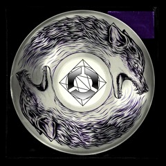 Werewolf Disco Club - Disolate Moon (Remix) IHM [Technical Techno Records]