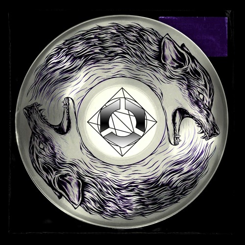 Werewolf Disco Club - Disolate Moon (Remix) IHM [Technical Techno Records]