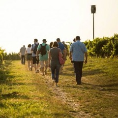 Vos annonces spirituelles 2023-03-03