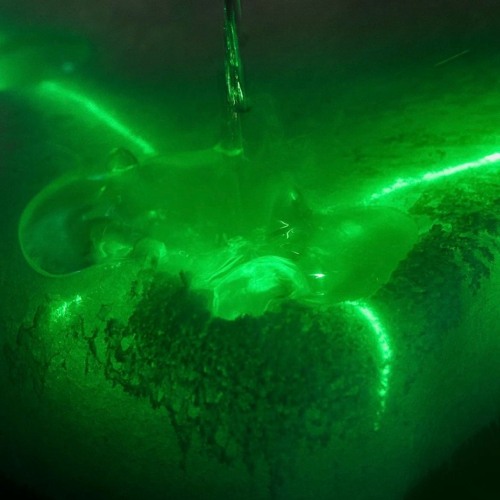 zzzplz STIMULUS MIX For PLEASURES