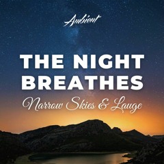 Narrow Skies & Lauge - The Night Breathes