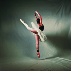 balletdancer;anklemonitor