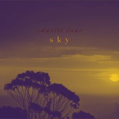 Charlie Lane - Sky (Radio Edit)