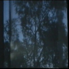 Rainfall