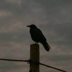 ONDE O SILÊNCIO ME RECONSTRÓI