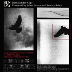 DARK SUNDAY RADIO CLIPS (FT. JVCXB, GRIM BRXZY, SESH GURU, FISHTOWN, TRIVII, THOTSXO, & MORE) (DESC)
