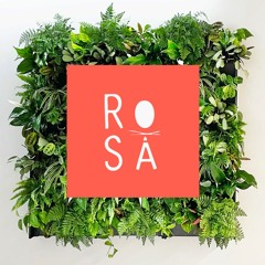 Thyrie - ROSA Podcast #57