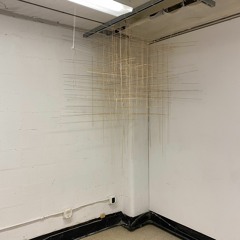 study for membrane, 2021 [documented in situ]