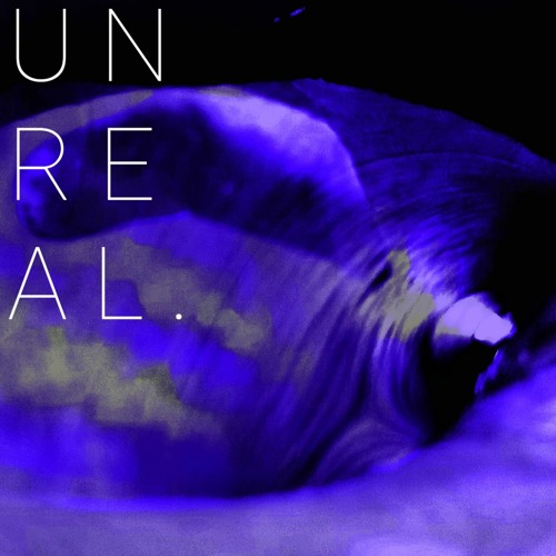 Armaggethur - UNREAL. (Zodiac III Beat Contest)