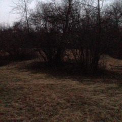 Day 2 - The_Satyr_09022025